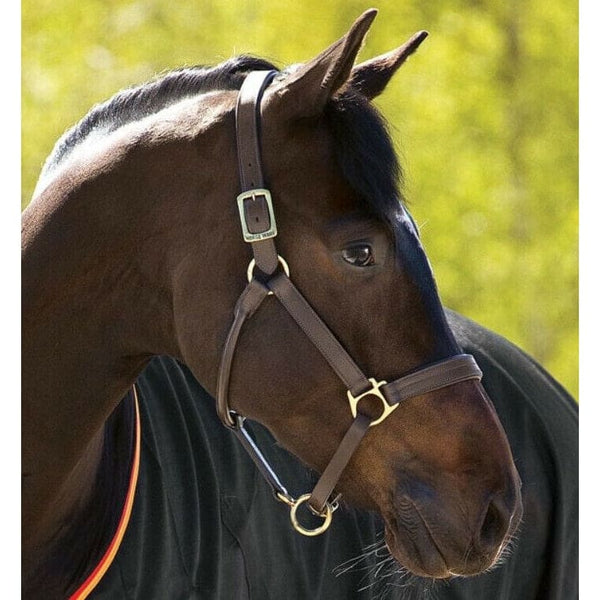 Jet buy Black Diamanté Crystal Leather Horse Cob Pony Padded Headcollar Halter