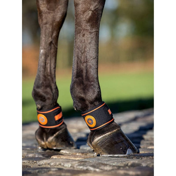 LeMieux Magno Pastern Wrap Magnetic Magnet Protect Healing Circulation Therapy Cork Farm Equestrian