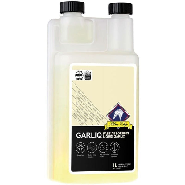 Blue Chip Feeds Garliq Liquid Garlic Daily Respiration and Fly Horse Supplement