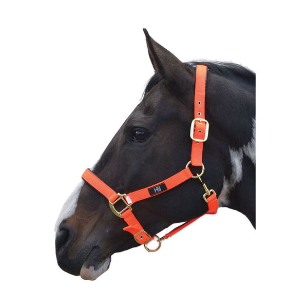 Hy Equestrian Grand Prix Head Collar Chocolate Hot Pink Hot Orange Navy Grey