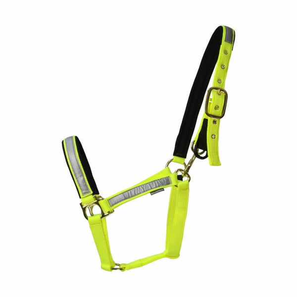 HyVIZ Reflective Flourescent Hi Viz Field Safe Fieldsafe Head Collar Yellow