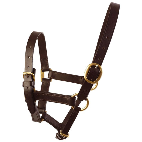 JHL Leather Foal Headcollar Fully Adjustable With Brass Buckles Black/Brown