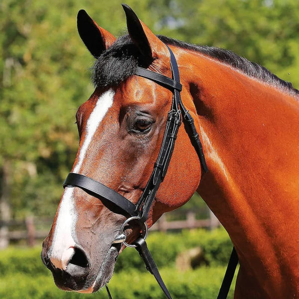 JHL Leather Plain Cavesson Hunter Bridle With Rubber Reins Brown/Black P/C/F