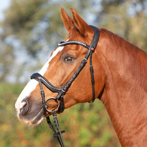 Kieffer Ergonomic Ultrasoft Amy Padded Snaffle Crank Flash Bridle Black Cob/Full