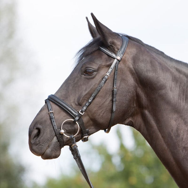 Kieffer Ergonomic Ultrasoft Padded Snaffle Flash Bridle and Reins Black/Brown C/F