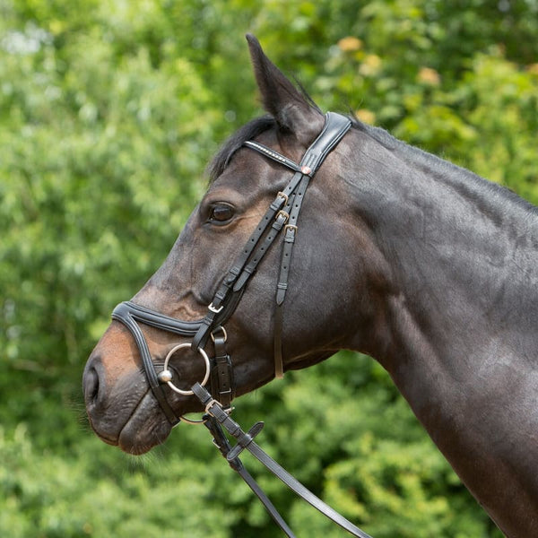 Kieffer Ergonomic Ultrasoft Tara Padded Snaffle Bridle and Reins Black/Brown C/F