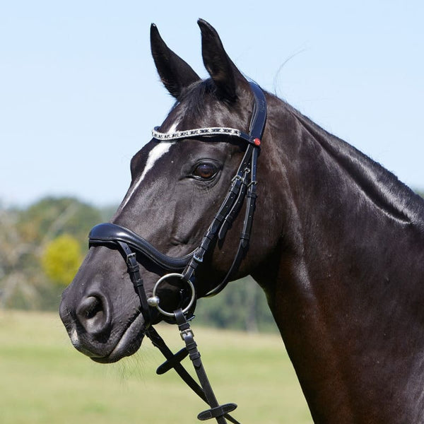 Kieffer Ergonomic Ultrasoft Viola Padded Snaffle Bridle and Reins Black/Brown C/F