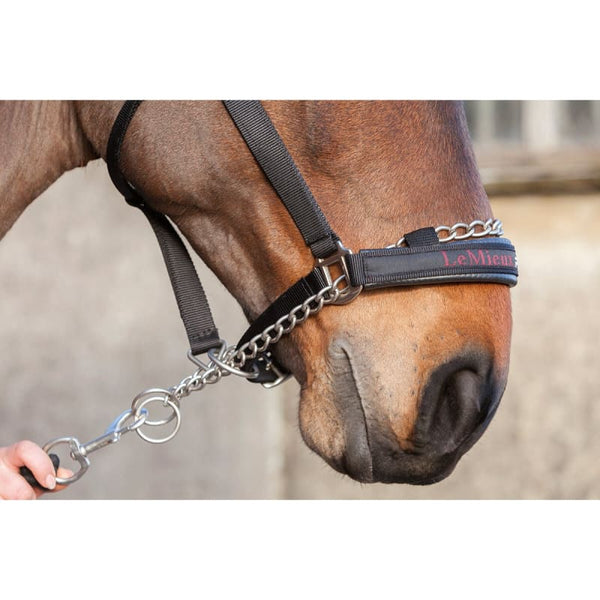 LeMieux Pro-Safe Controller Headcollar Strong Chain Safety Head Collar Halter