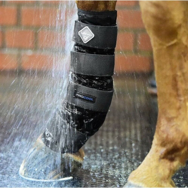 LeMieux ProCool Cold Water Therapy Compression Boots Reduce Heal Tendon Swelling