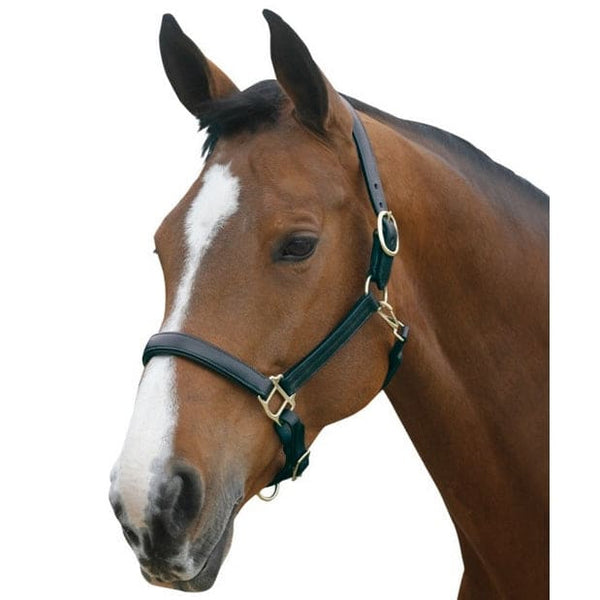 Mark Todd Contrast Stitch Leather Headcollar Black/Havana Cob/Full/XFull Size