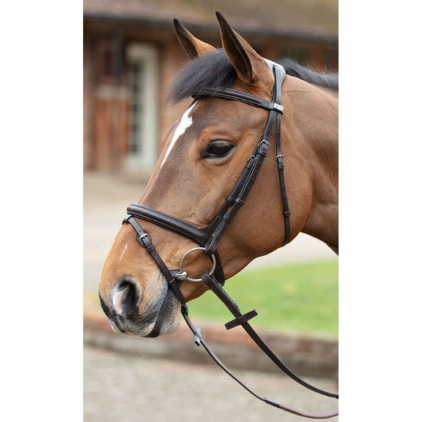 Mark Todd Cut Away Ergonomic Anatomical Comfort Bridle Cob/Full Black/Havana