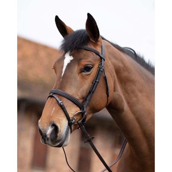 Mark Todd Double Raised Soft Italian Leather Flash Bridle Cob/Full Black/Havana