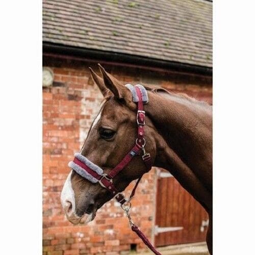 Mark Todd Fleece Lined Headcollar and Leadrope Set Pony/Cob/Full Various Colours