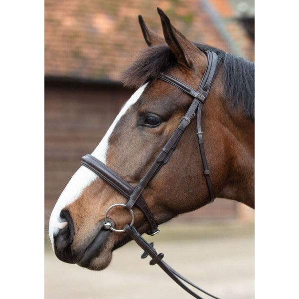 Mark Todd Padded Cavesson Bridle Leather Snaffle Bridle Cob/Full Black/Havana