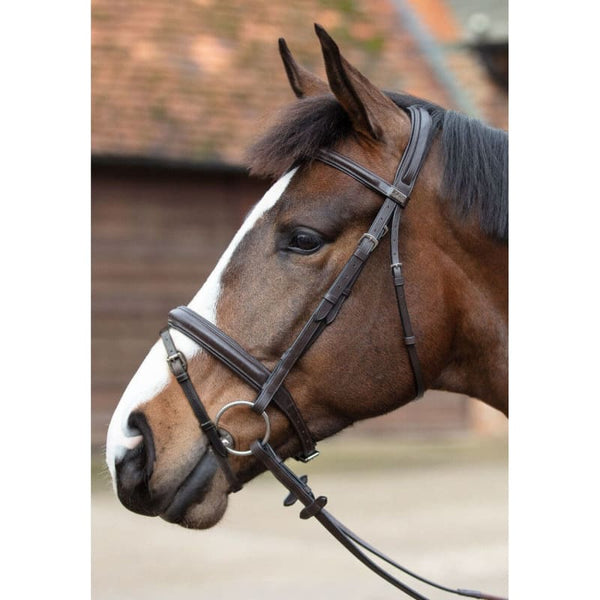 Mark Todd Padded Flash Bridle Soft Supple Italian Leather Cob/Full Black/Havana