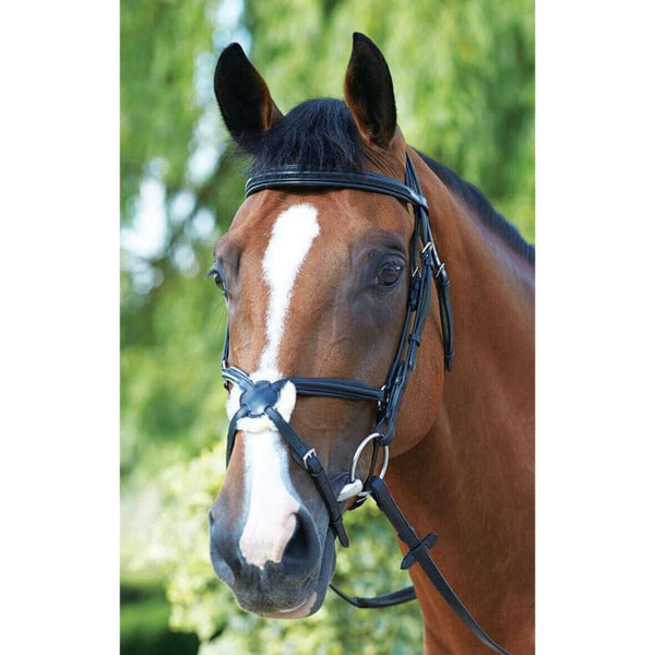 Mark Todd Padded Grakle Bridle Soft Italian Leather Bridle With Grackle Noseband