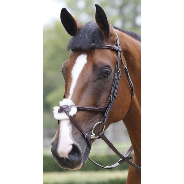 Mark Todd Performance Figure of 8 Bridle Soft Padded Grackle Bridle Cob/Full