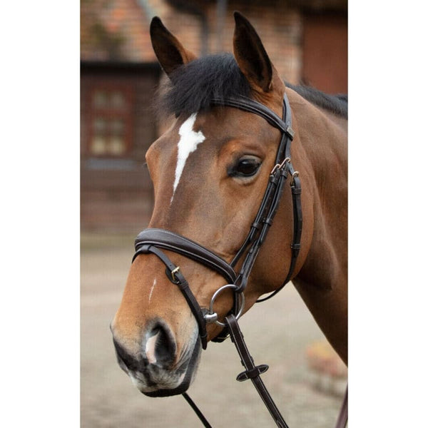 Mark Todd Raised Contrast Stitch Bridle With Flash Noseband Full Black/Havana