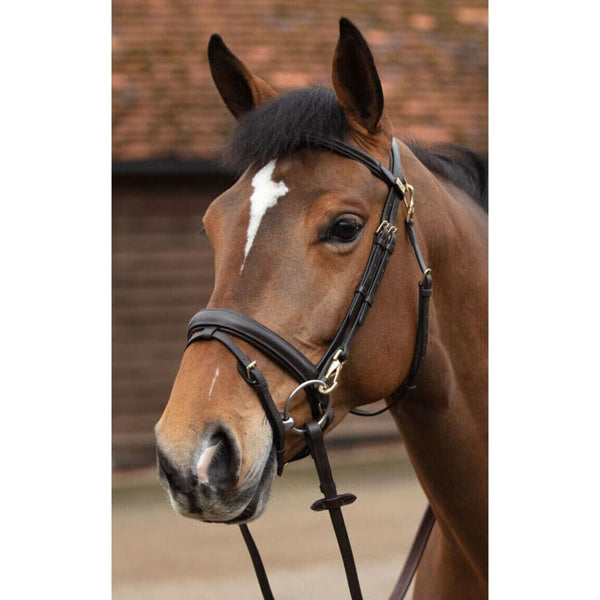 Mark Todd Training Bridle With Brass Clip Fixtures Clip Bridle Full Black/Havana