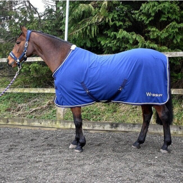 Whitaker Rydal Show Rug Sheet Competition Ready Micro-Suede Rug 4'9"-7'0" Blue